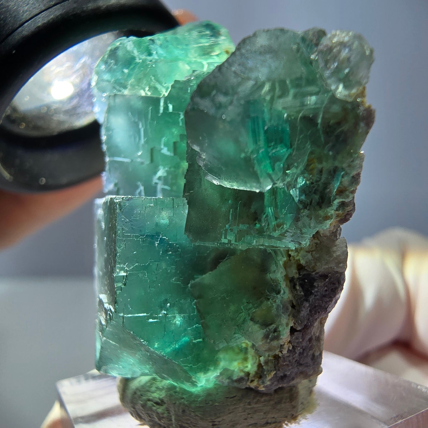 Spécimen de cube de fluorite fantôme, vert parqueté Okorusu, Namibie 39*31*16 mm