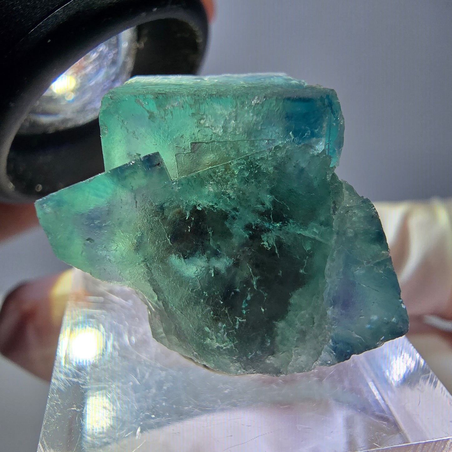 Spécimen de cube de fluorite fantôme, vert parqueté Okorusu, Namibie 22*20*20mm