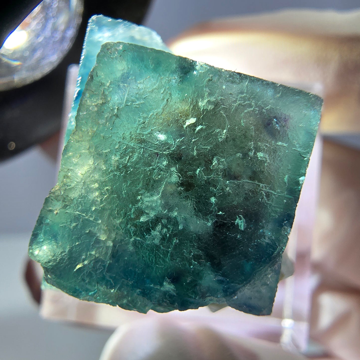Spécimen de cube de fluorite fantôme, vert parqueté Okorusu, Namibie 22*20*20mm