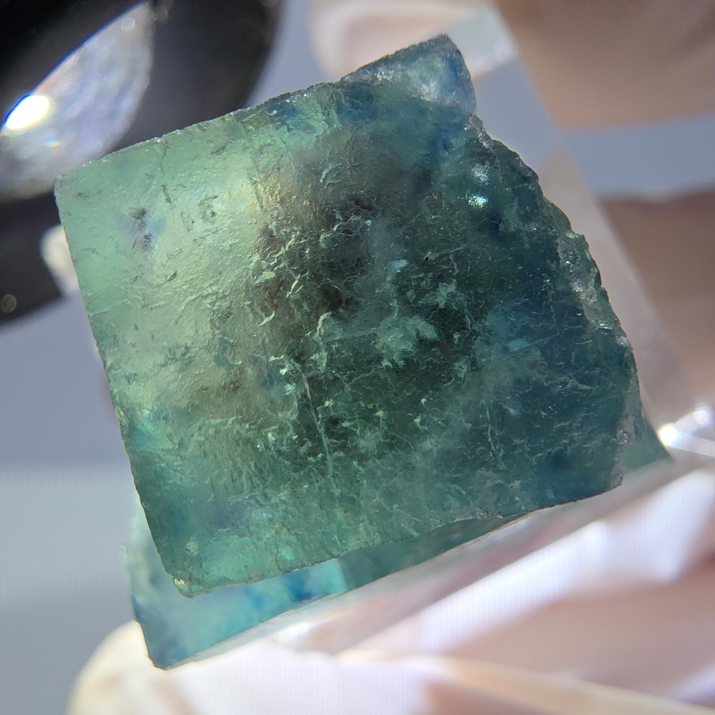 Spécimen de cube de fluorite fantôme, vert parqueté Okorusu, Namibie 22*20*20mm