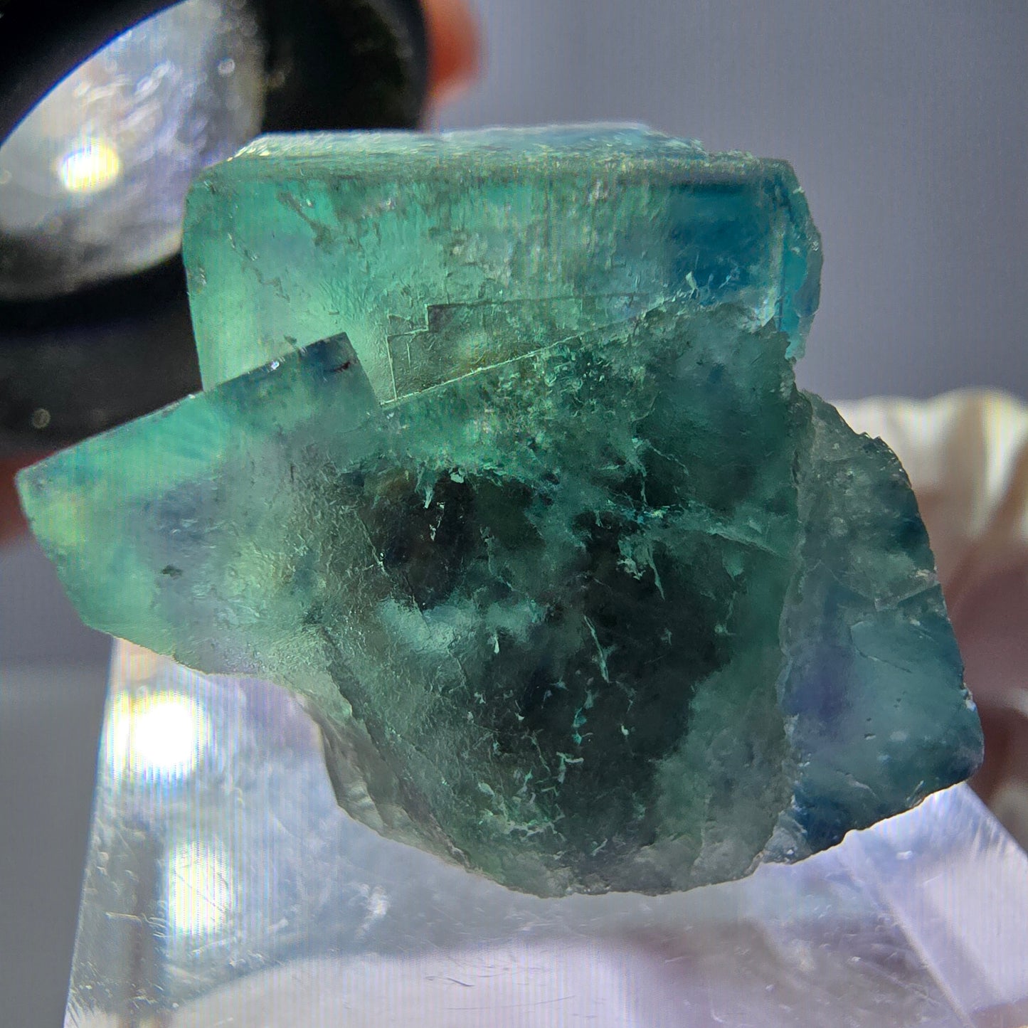 Spécimen de cube de fluorite fantôme, vert parqueté Okorusu, Namibie 22*20*20mm