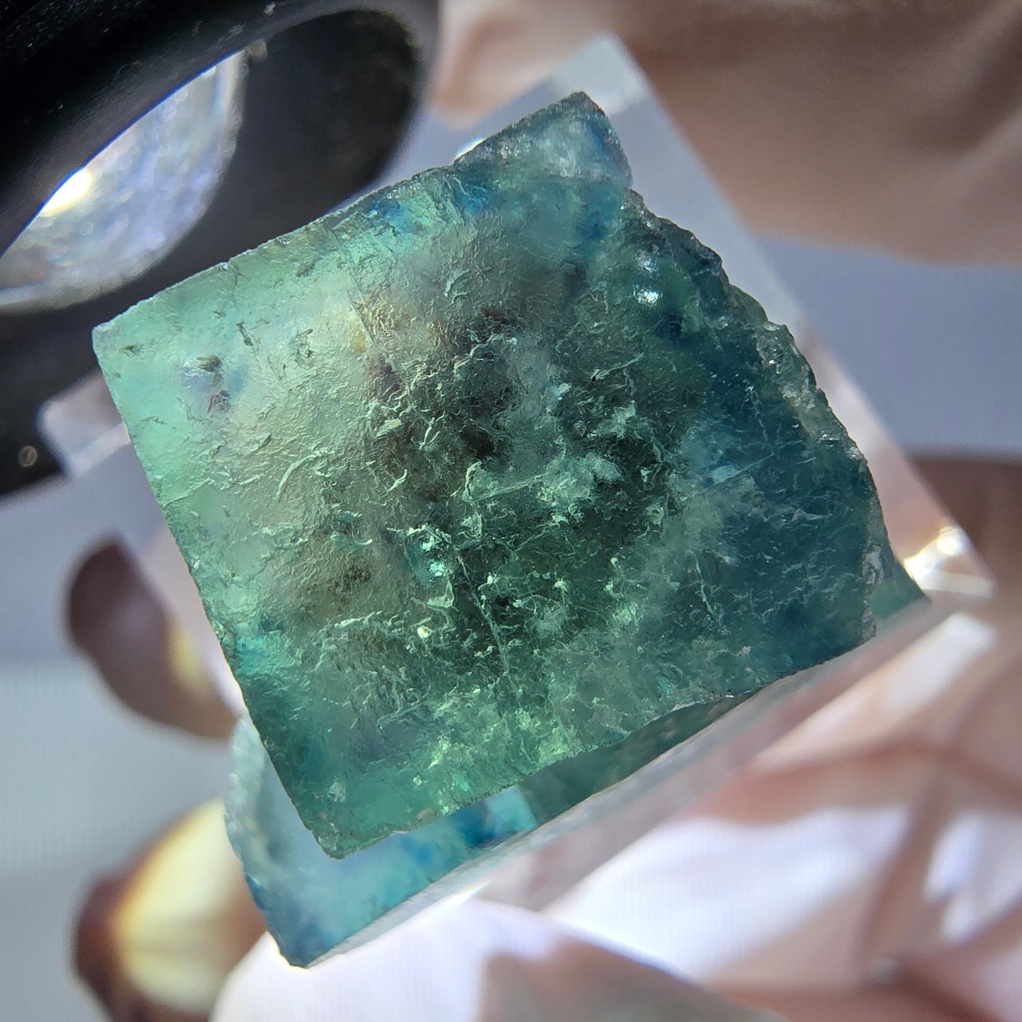 Spécimen de cube de fluorite fantôme, vert parqueté Okorusu, Namibie 22*20*20mm