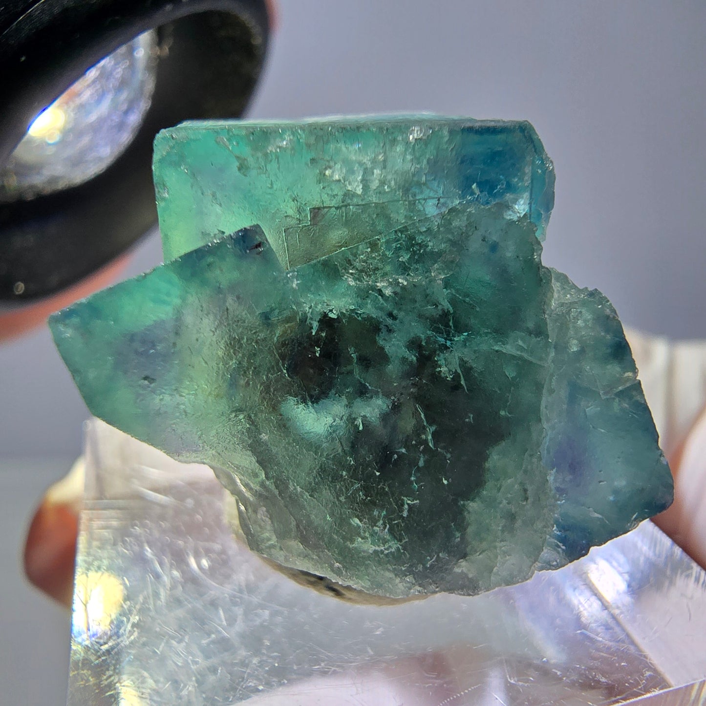 Spécimen de cube de fluorite fantôme, vert parqueté Okorusu, Namibie 22*20*20mm