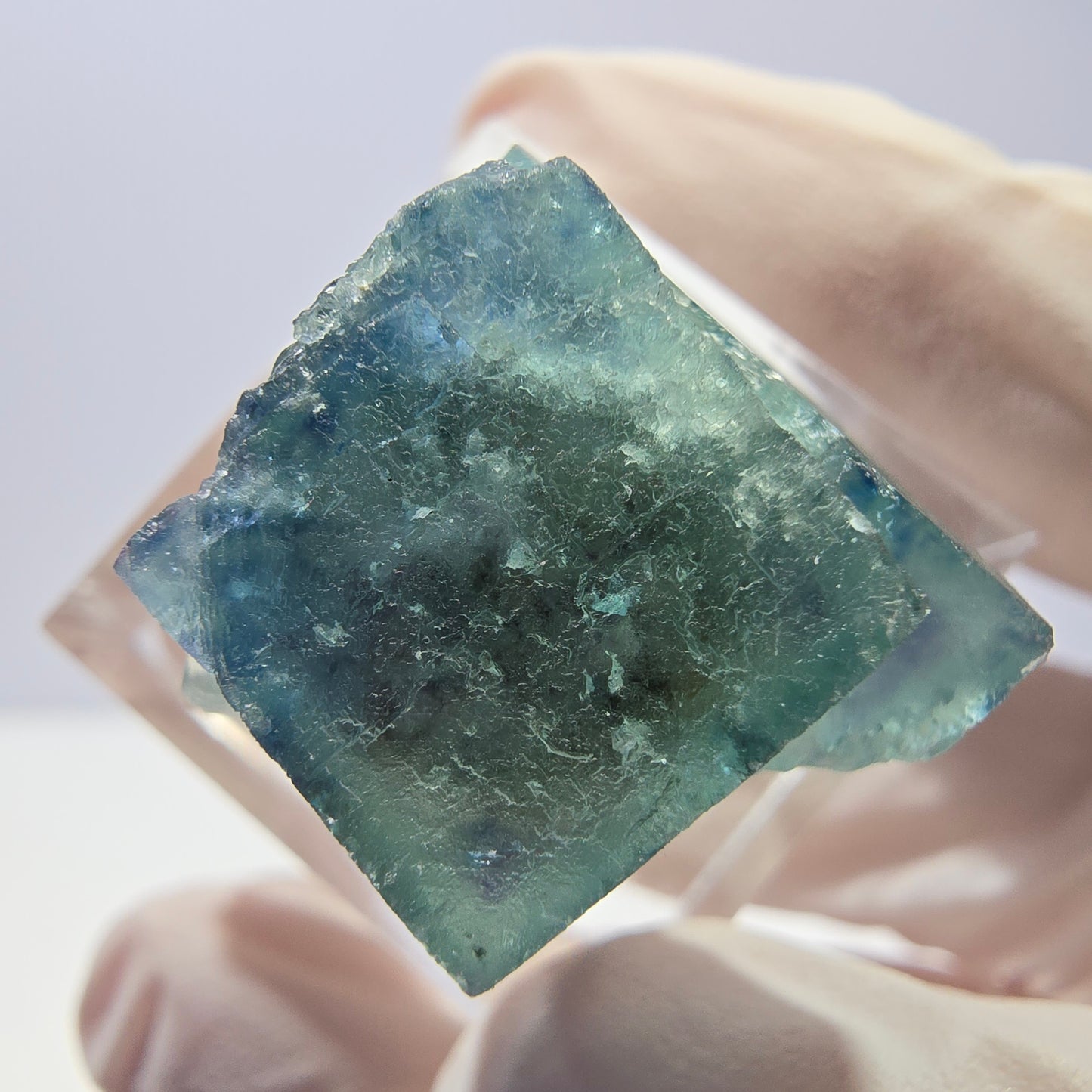 Spécimen de cube de fluorite fantôme, vert parqueté Okorusu, Namibie 22*20*20mm