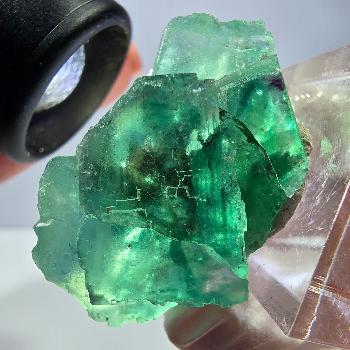 Spécimen de cube de fluorite fantôme, vert parqueté Okorusu, Namibie 39*25*20mm