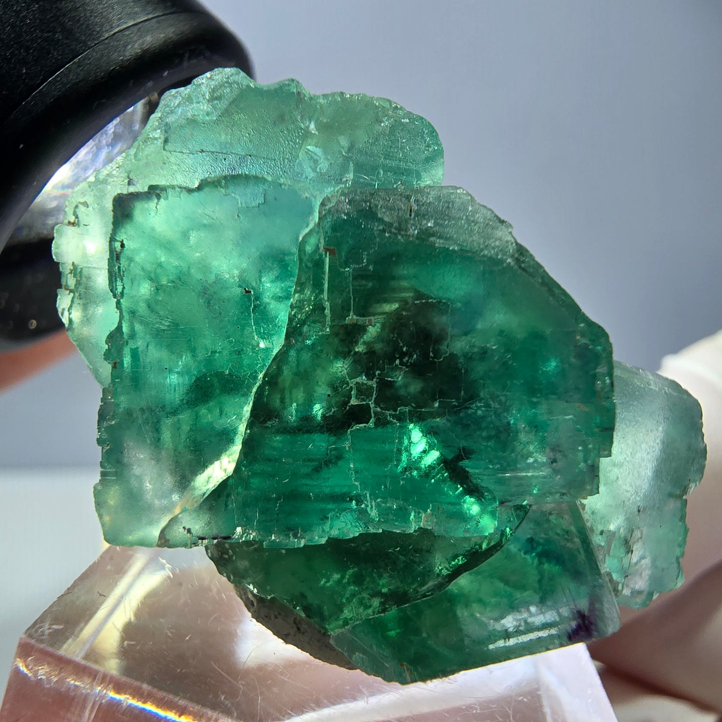 Spécimen de cube de fluorite fantôme, vert parqueté Okorusu, Namibie 39*25*20mm