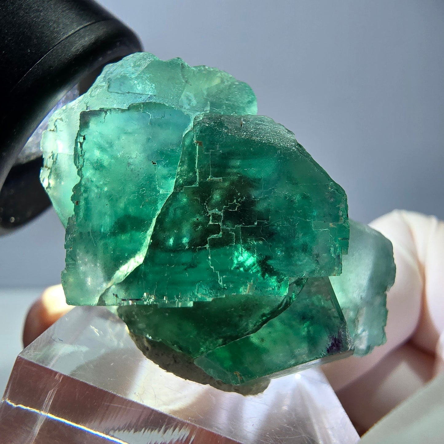 Spécimen de cube de fluorite fantôme, vert parqueté Okorusu, Namibie 39*25*20mm