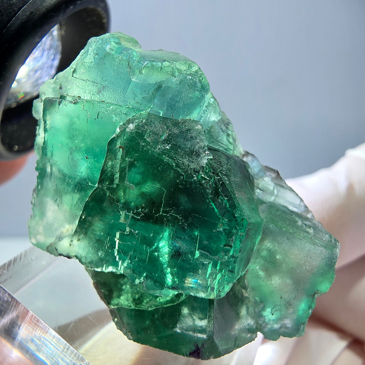 Spécimen de cube de fluorite fantôme, vert parqueté Okorusu, Namibie 39*25*20mm