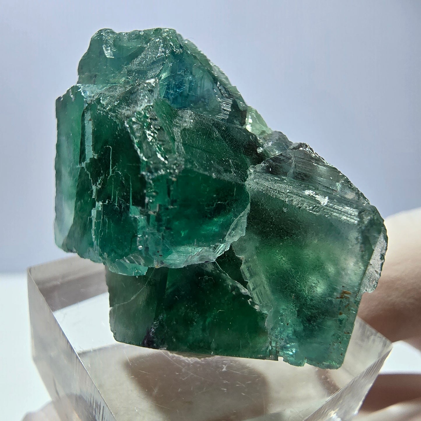 Spécimen de cube de fluorite fantôme, vert parqueté Okorusu, Namibie 39*25*20mm