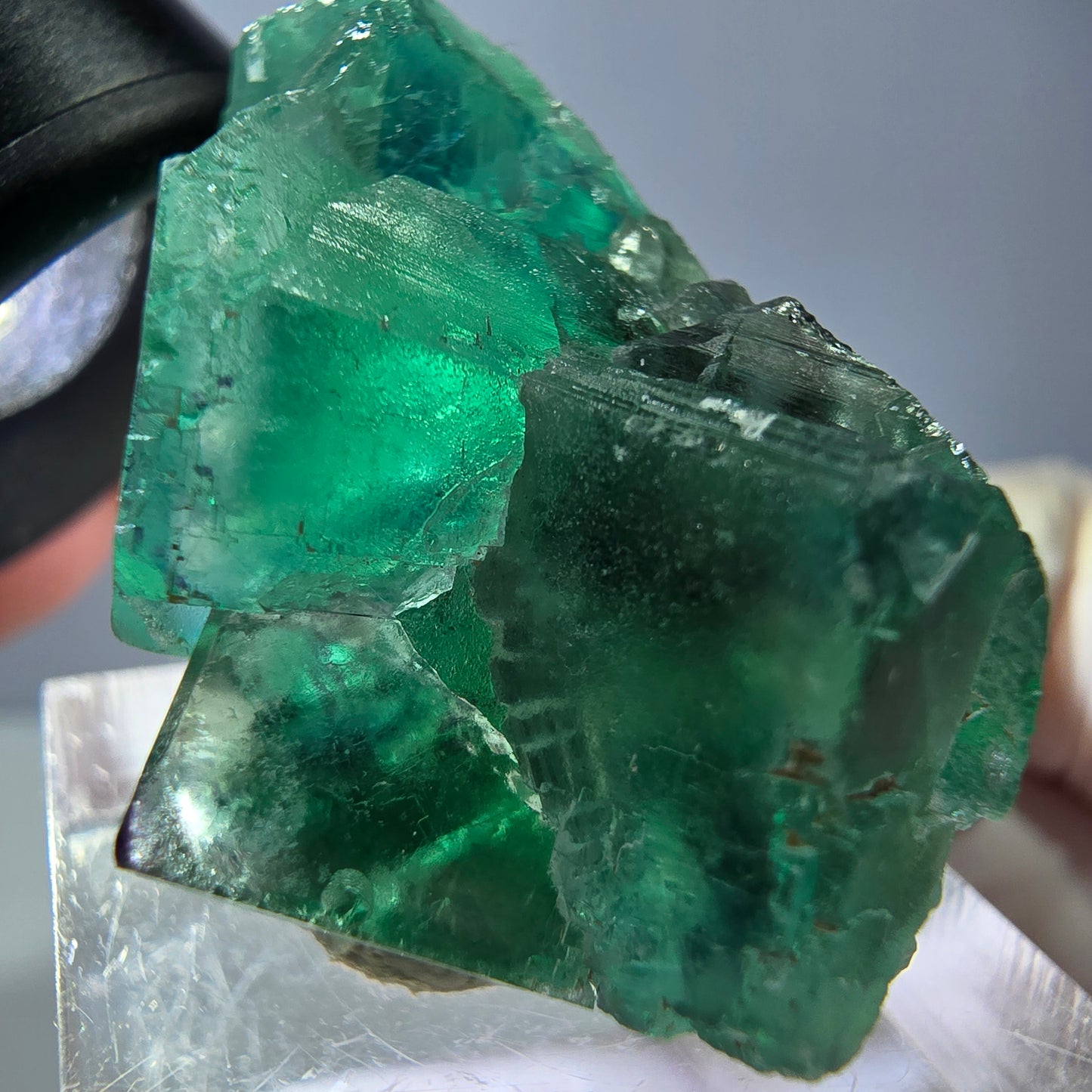 Spécimen de cube de fluorite fantôme, vert parqueté Okorusu, Namibie 39*25*20mm