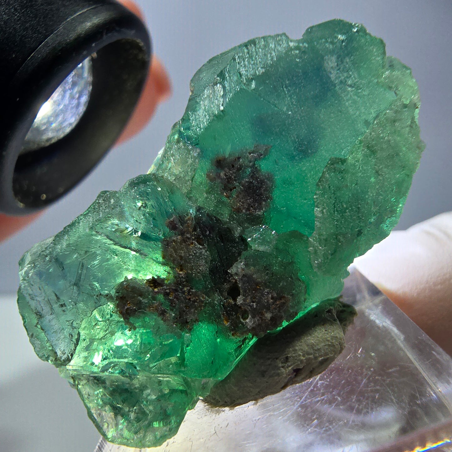 Spécimen de cube de fluorite fantôme, vert parqueté Okorusu, Namibie 39*25*20mm