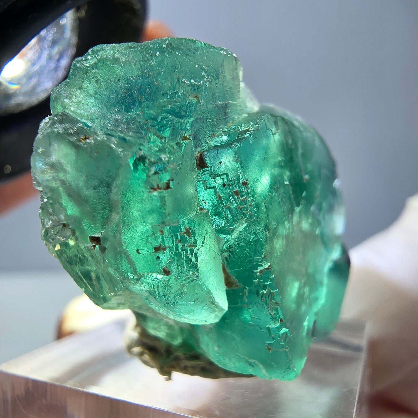 Spécimen de cube de fluorite fantôme, vert parqueté Okorusu, Namibie 39*25*20mm