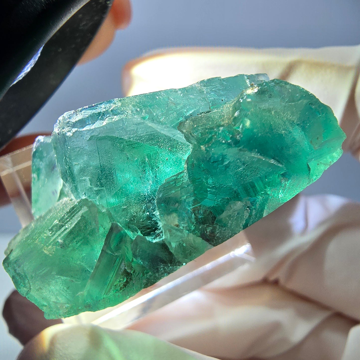 Spécimen de cube de fluorite fantôme, vert parqueté Okorusu, Namibie 39*25*20mm