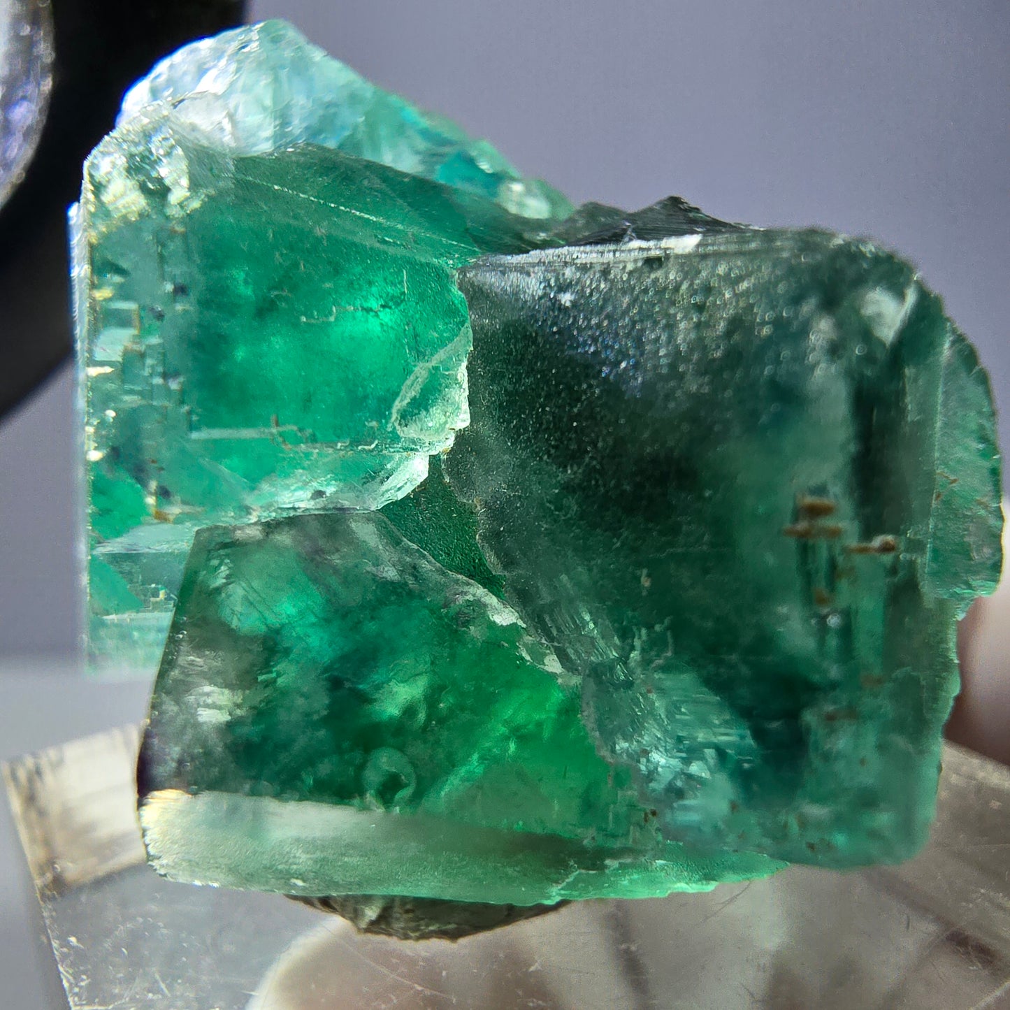 Spécimen de cube de fluorite fantôme, vert parqueté Okorusu, Namibie 39*25*20mm