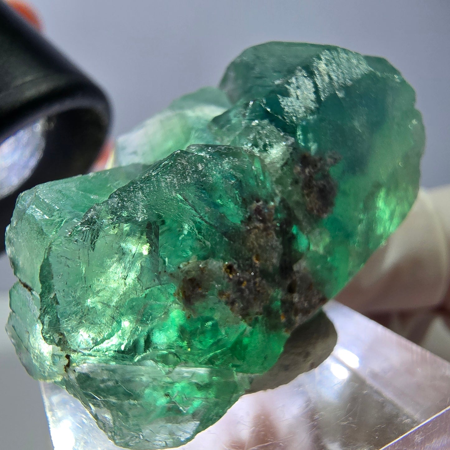 Spécimen de cube de fluorite fantôme, vert parqueté Okorusu, Namibie 39*25*20mm