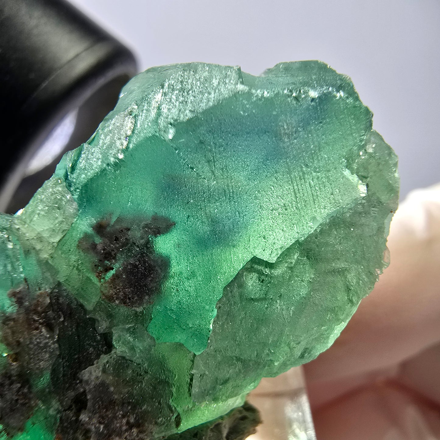 Spécimen de cube de fluorite fantôme, vert parqueté Okorusu, Namibie 39*25*20mm