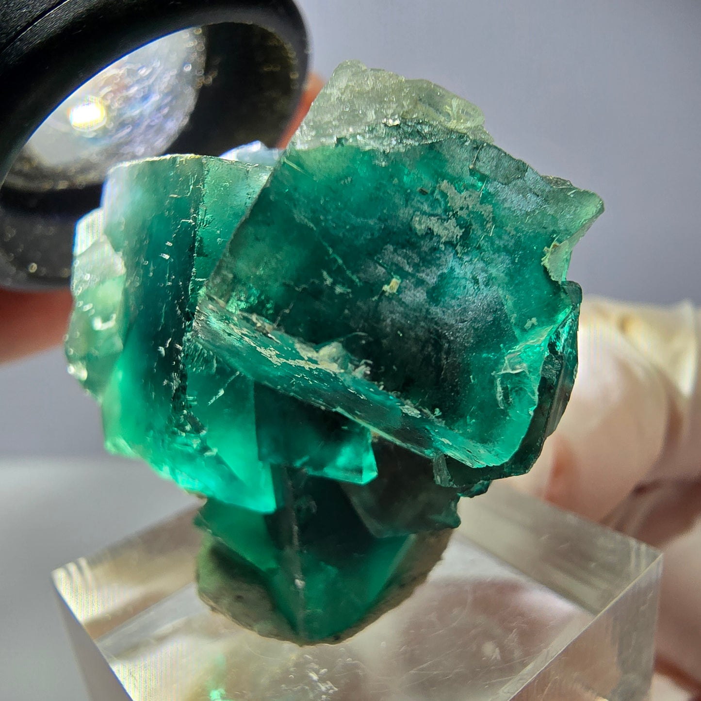Spécimen de cube de fluorite fantôme, vert parqueté Okorusu, Namibie 40*31*23mm