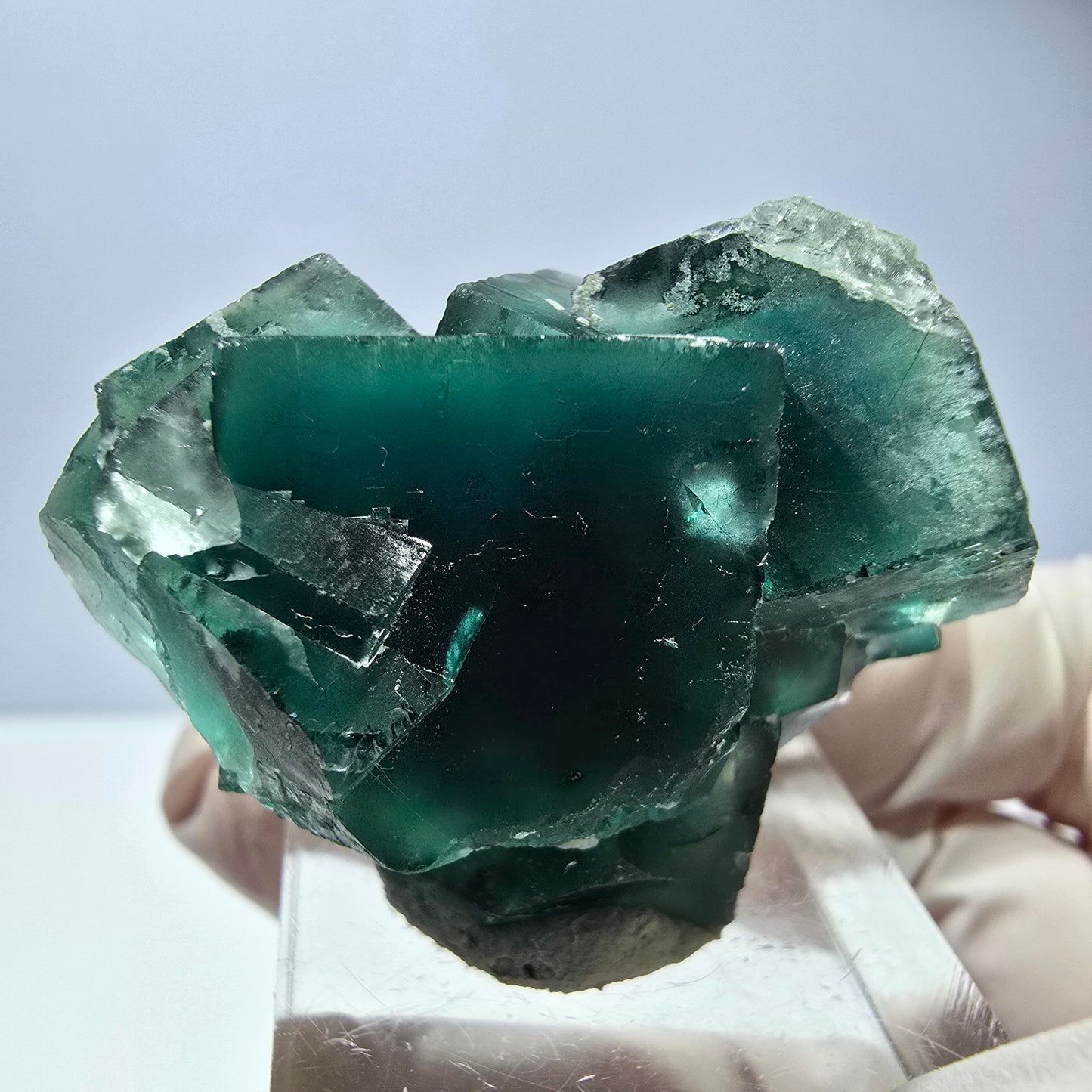 Spécimen de cube de fluorite fantôme, vert parqueté Okorusu, Namibie 40*31*23mm