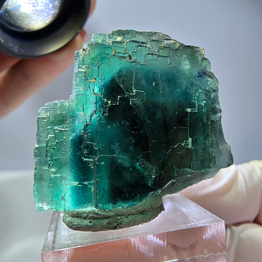 Phantom Fluorit Würfel Stufe, parkettiert grün Okorusu, Namibia 44*33*26mm
