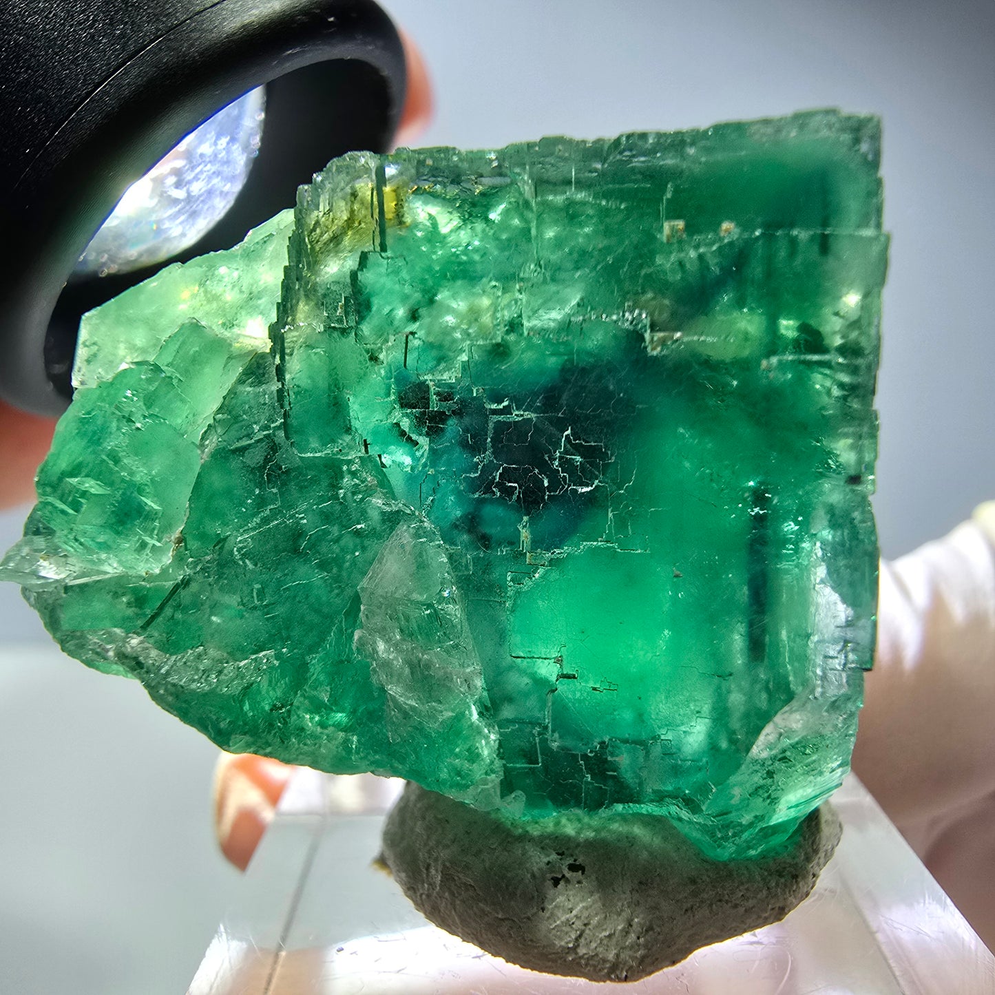 Spécimen de cube de fluorite fantôme, vert parqueté Okorusu, Namibie 34*28*23mm