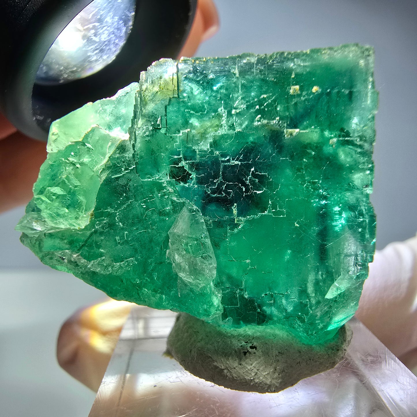 Spécimen de cube de fluorite fantôme, vert parqueté Okorusu, Namibie 34*28*23mm