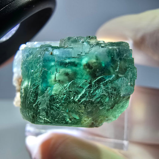 Phantom Fluorit Würfel Stufe, parkettiert grün Okorusu, Namibia 26*22*16mm