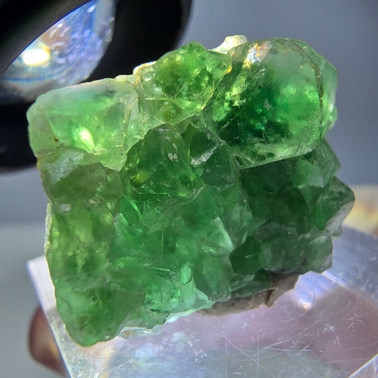 Spécimen de fluorite fantôme et de tourmaline Schorl, Erongo vert, Namibie, 28 x 20 x 14 mm