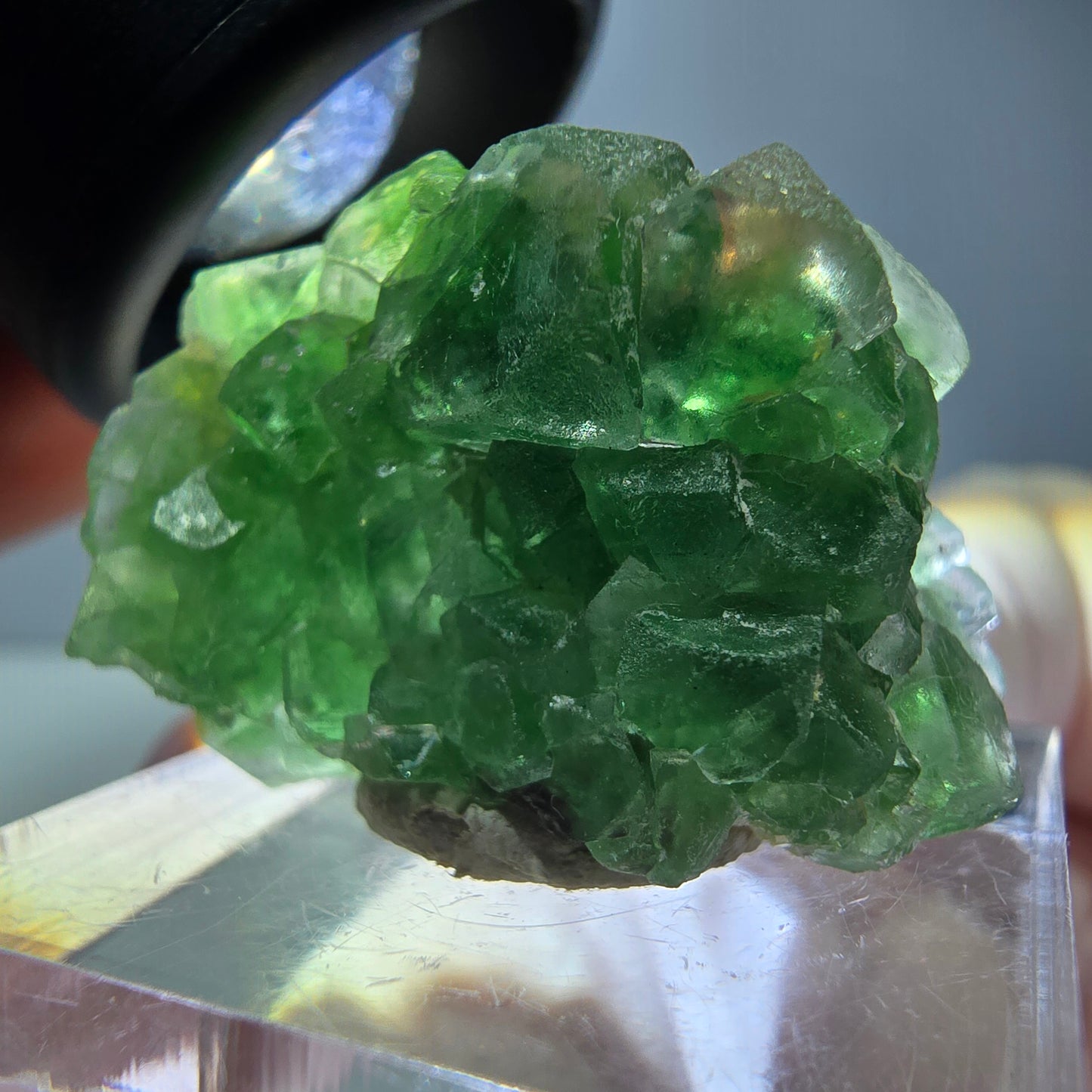 Phantom Fluorit, Schörl Turmalin Stufe, grün Erongo, Namibia 28*20*14mm