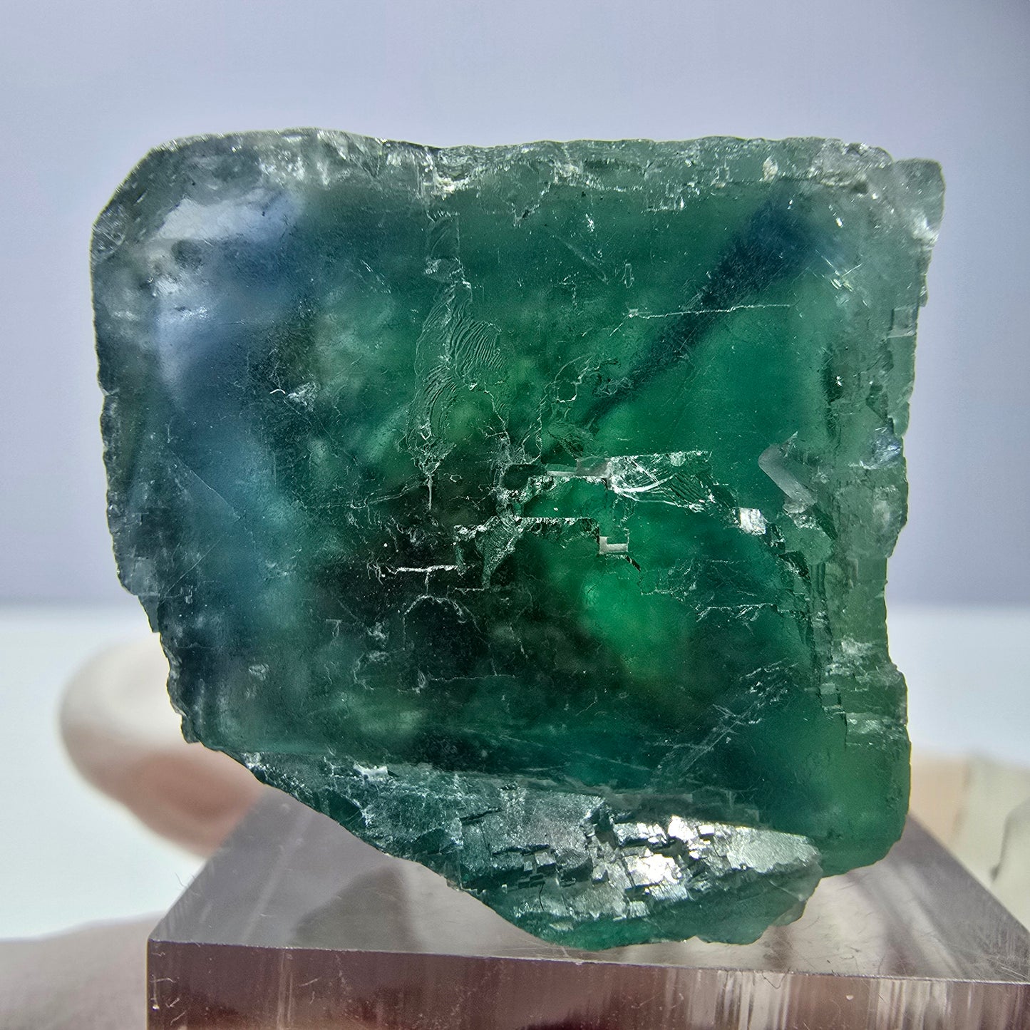 Spécimen de cube de fluorite fantôme, vert parqueté Okorusu, Namibie 29*26*25 mm
