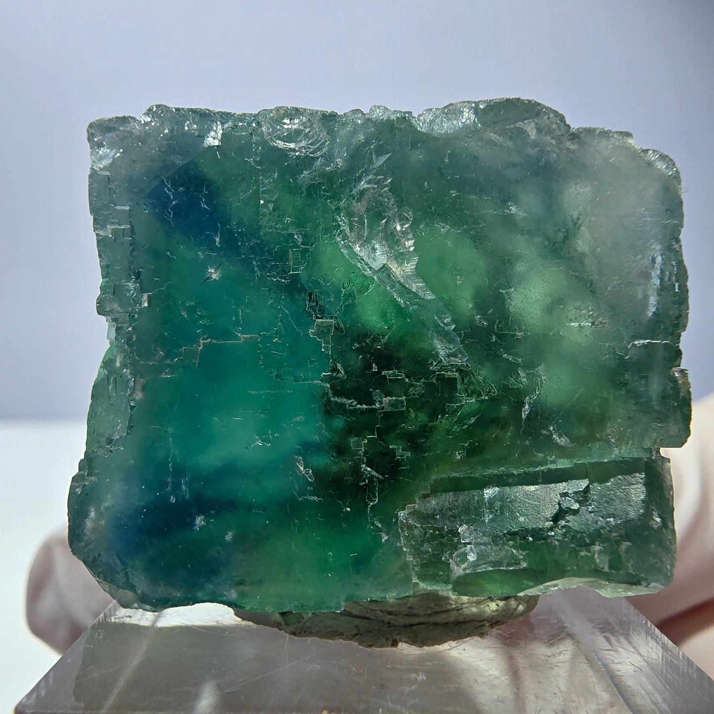 Spécimen de cube de fluorite fantôme, vert parqueté Okorusu, Namibie 29*26*25 mm