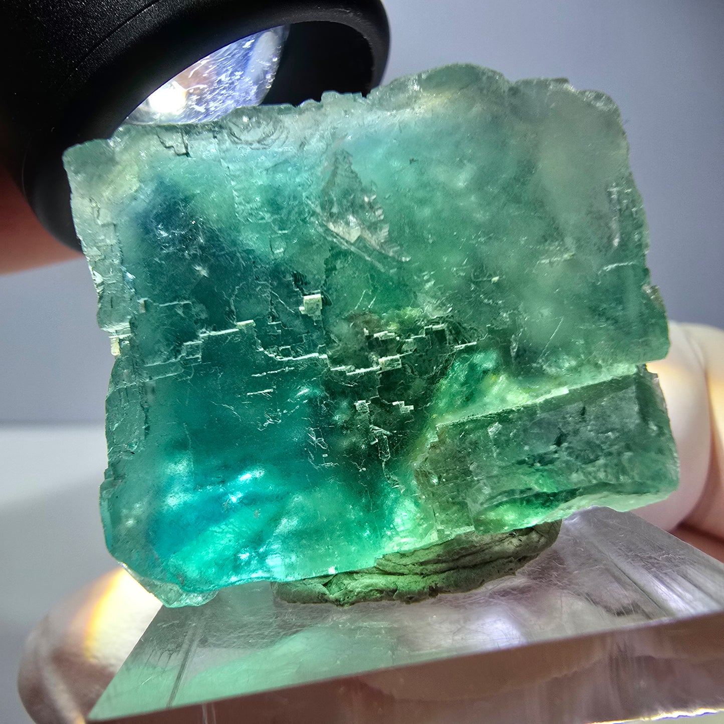 Spécimen de cube de fluorite fantôme, vert parqueté Okorusu, Namibie 29*26*25 mm