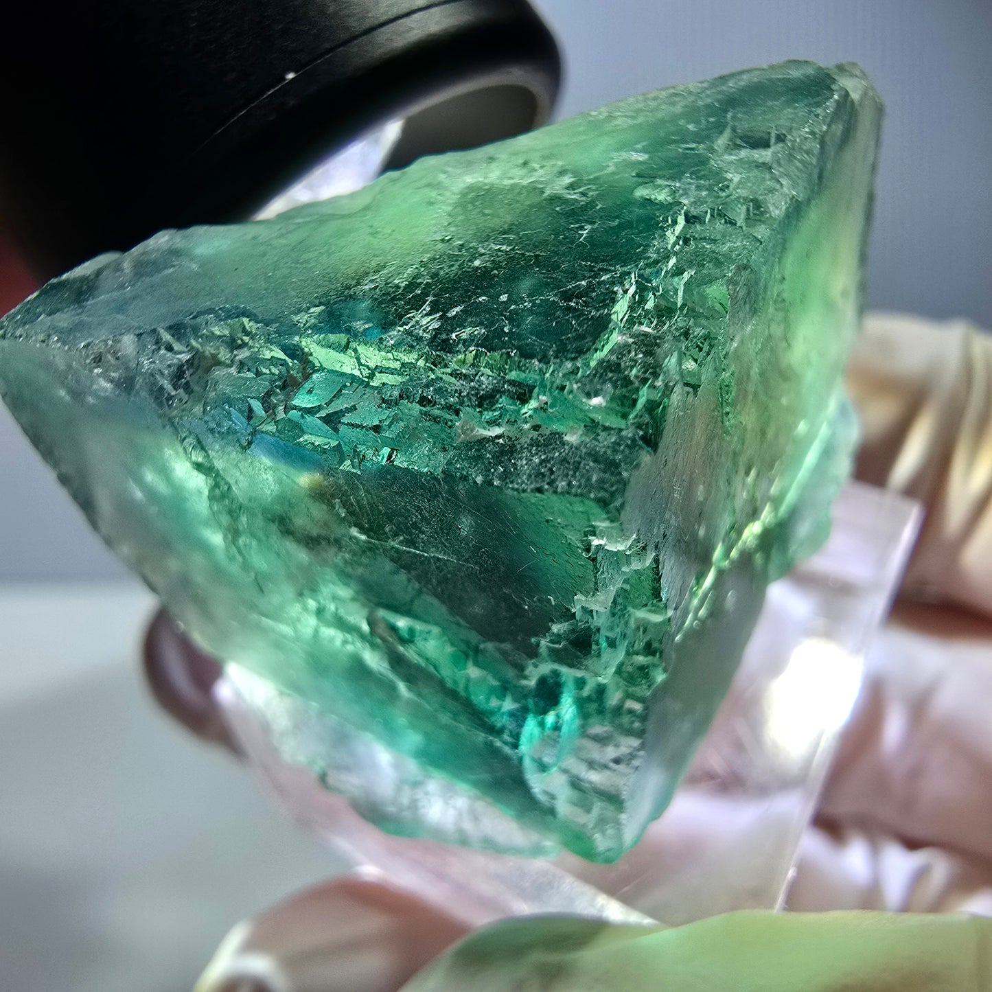 Spécimen de cube de fluorite fantôme, vert parqueté Okorusu, Namibie 29*26*25 mm