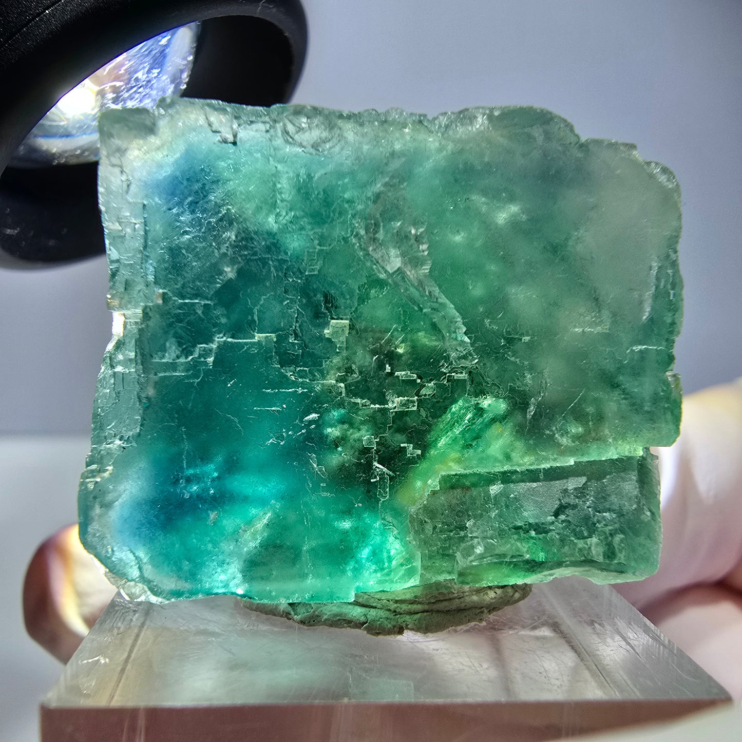 Spécimen de cube de fluorite fantôme, vert parqueté Okorusu, Namibie 29*26*25 mm