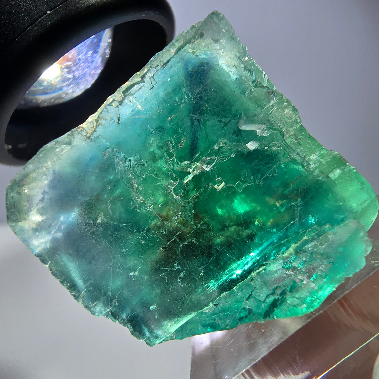 Spécimen de cube de fluorite fantôme, vert parqueté Okorusu, Namibie 29*26*25 mm