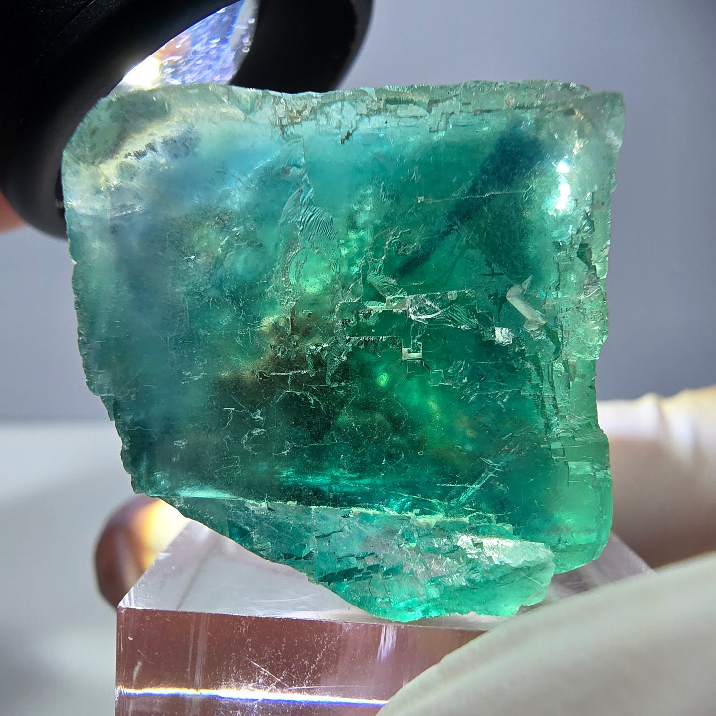 Spécimen de cube de fluorite fantôme, vert parqueté Okorusu, Namibie 29*26*25 mm