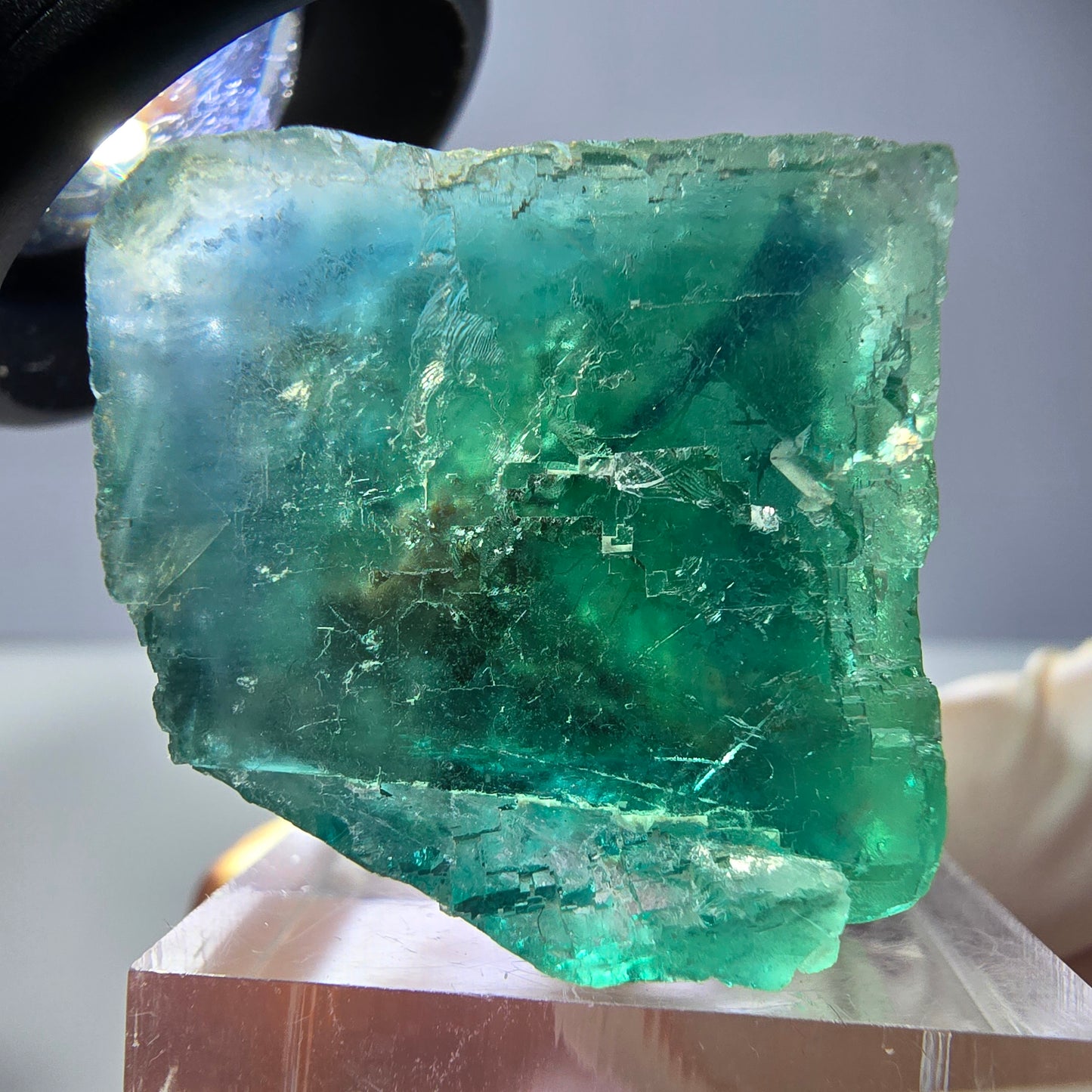 Spécimen de cube de fluorite fantôme, vert parqueté Okorusu, Namibie 29*26*25 mm