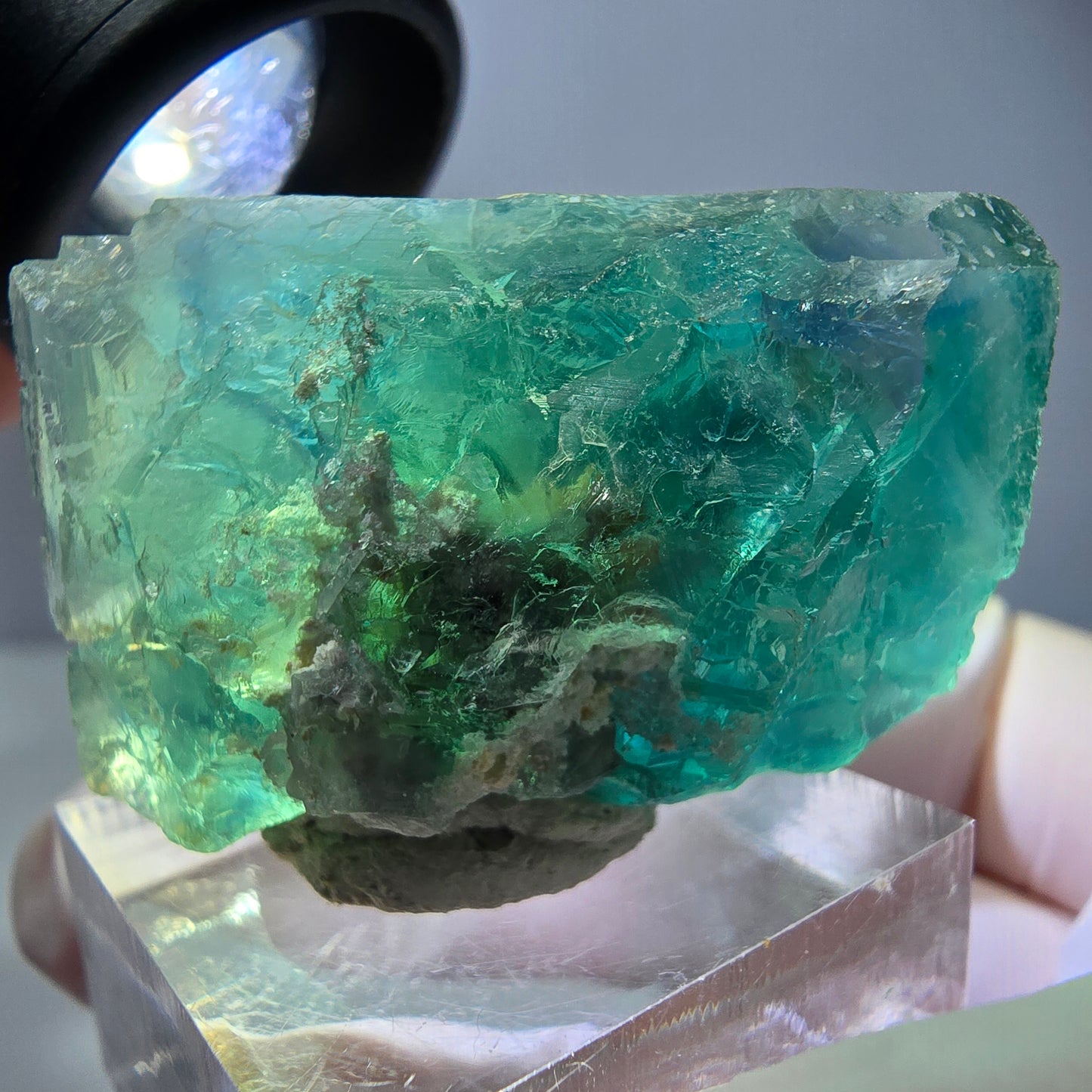 Spécimen de cube de fluorite fantôme, vert parqueté Okorusu, Namibie 29*26*25 mm
