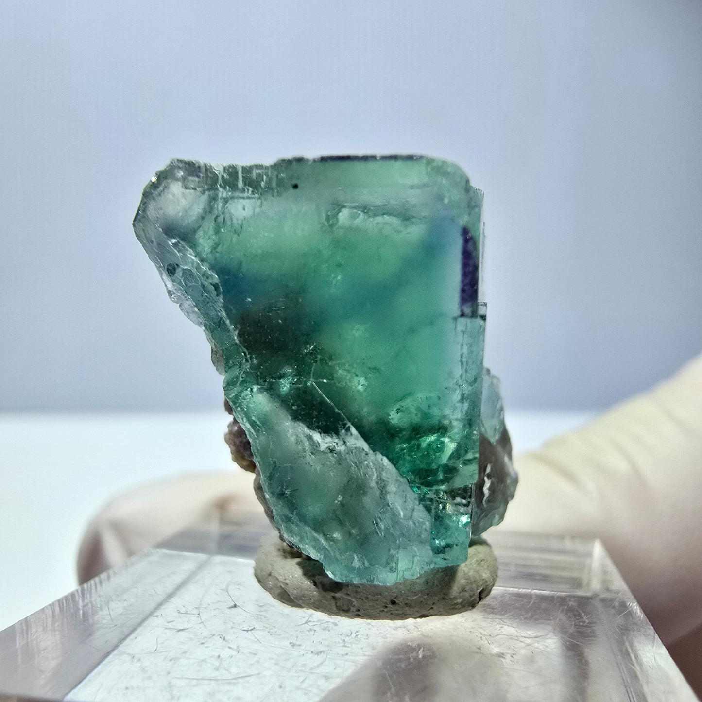 Spécimen de cube de fluorite fantôme, vert parqueté Okorusu, Namibie 21*20*15 mm