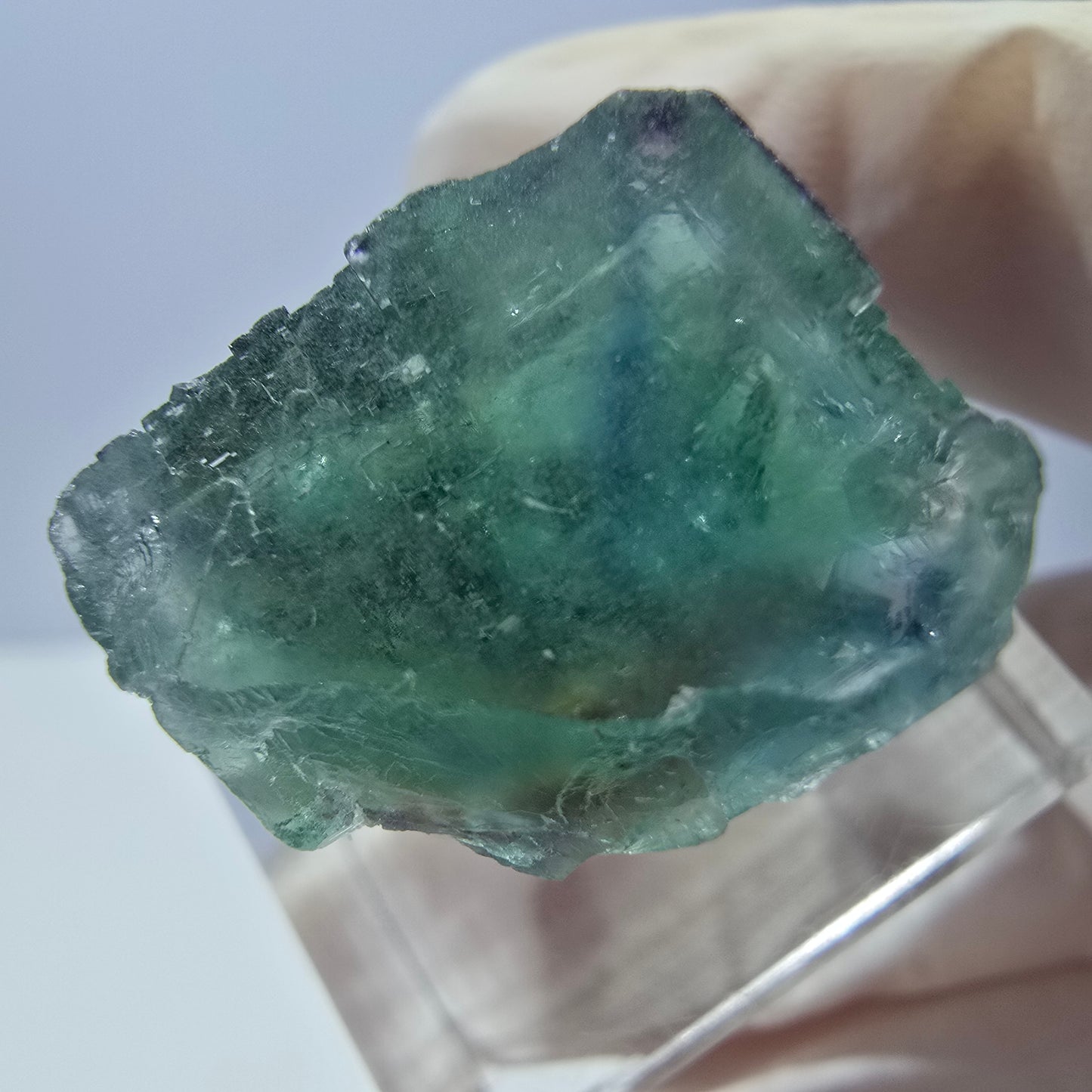 Spécimen de cube de fluorite fantôme, vert parqueté Okorusu, Namibie 21*20*15 mm