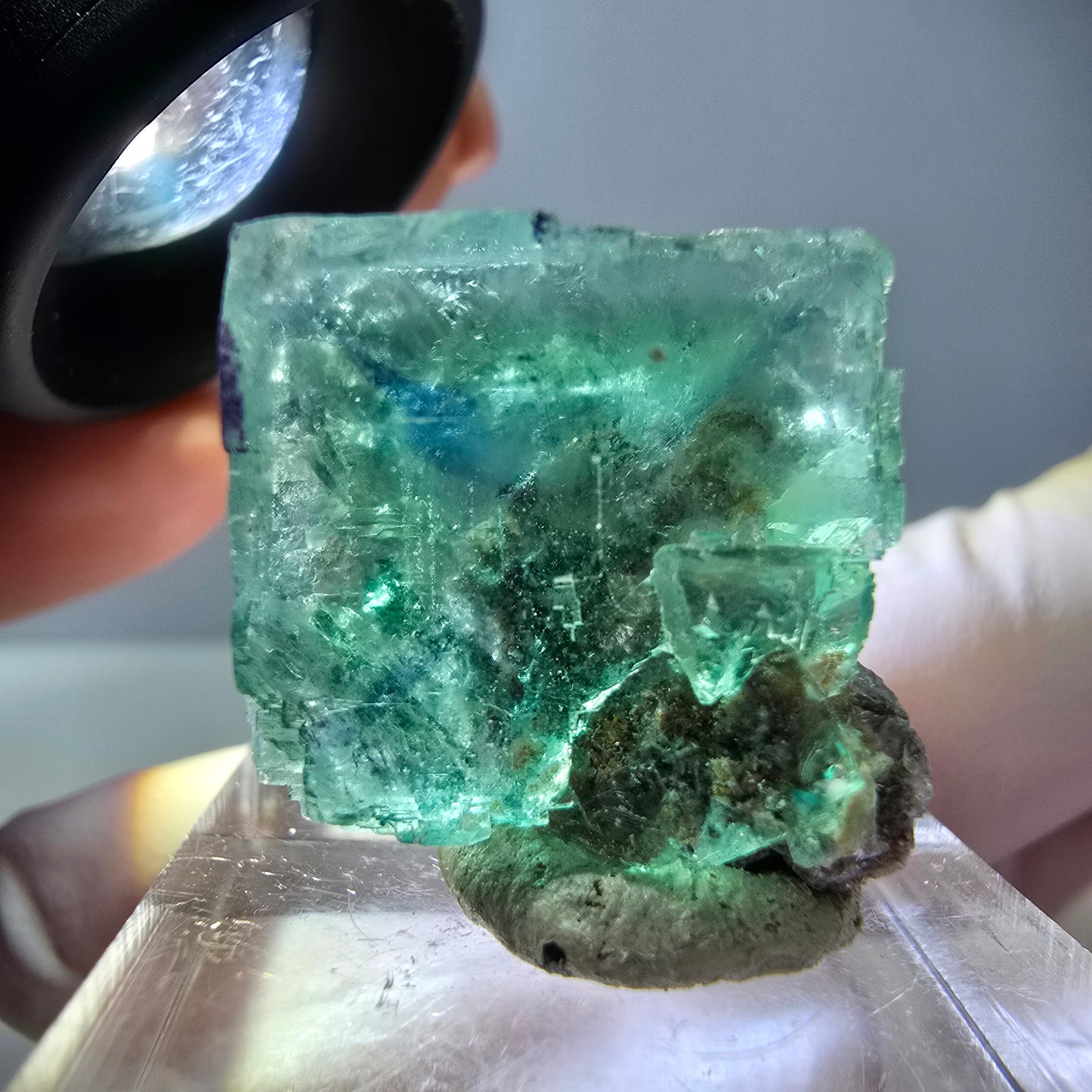Spécimen de cube de fluorite fantôme, vert parqueté Okorusu, Namibie 21*20*15 mm
