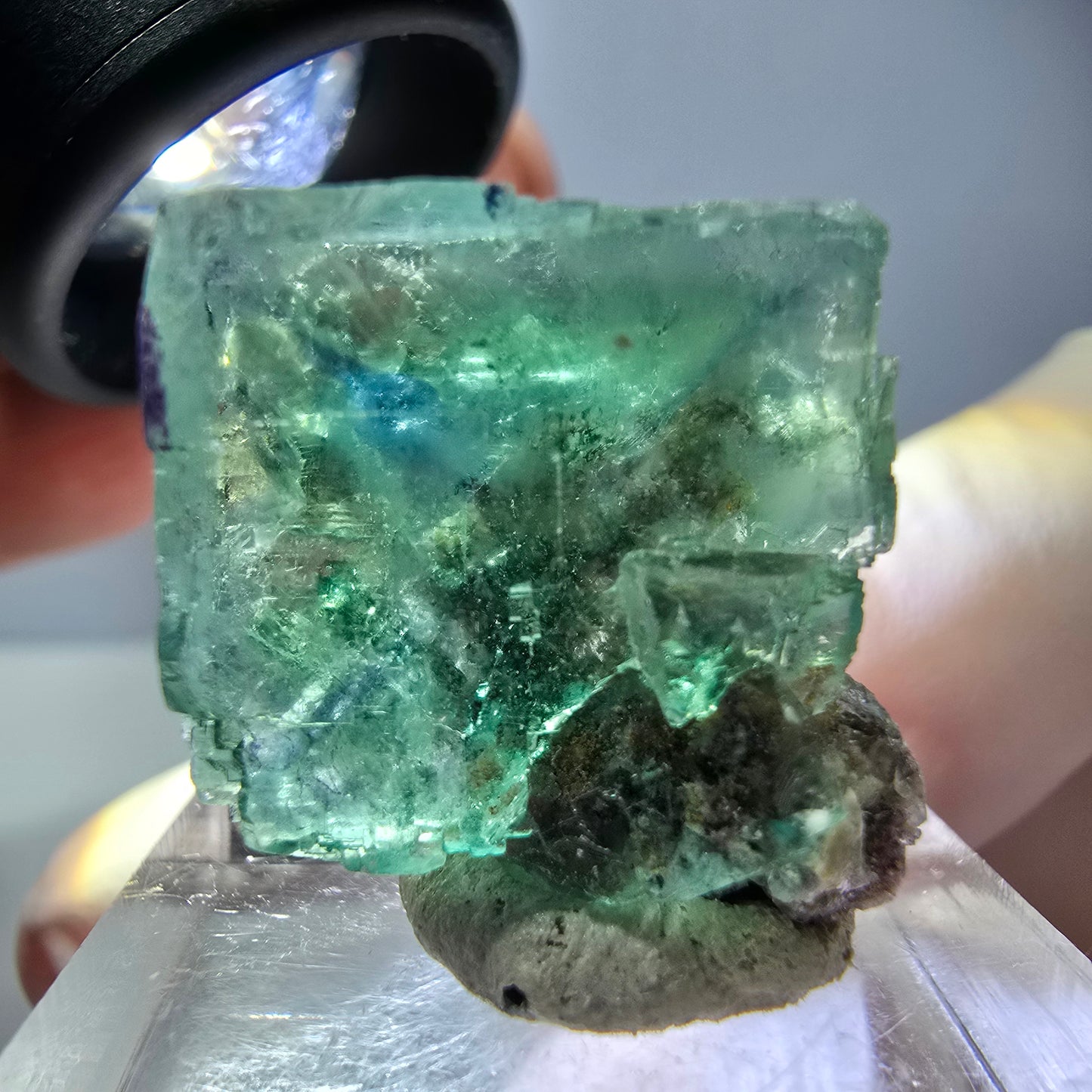 Spécimen de cube de fluorite fantôme, vert parqueté Okorusu, Namibie 21*20*15 mm
