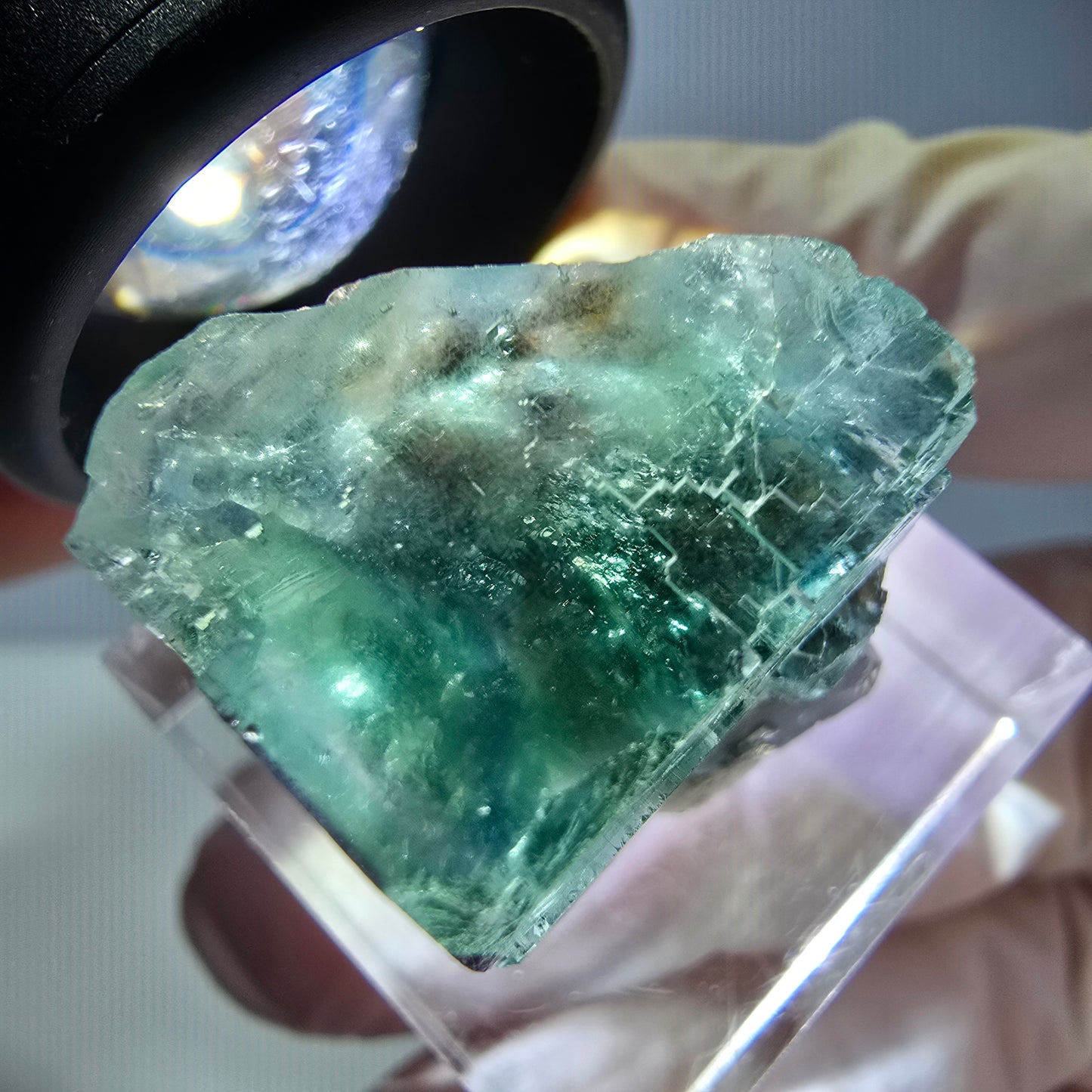 Spécimen de cube de fluorite fantôme, vert parqueté Okorusu, Namibie 21*20*15 mm