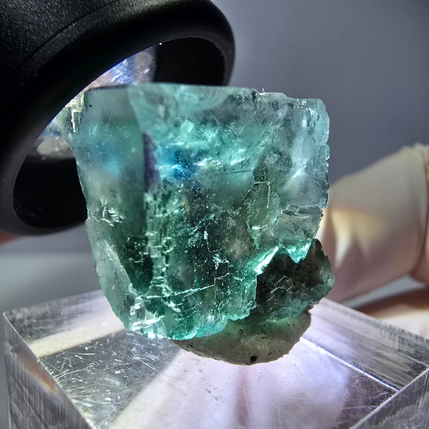 Spécimen de cube de fluorite fantôme, vert parqueté Okorusu, Namibie 21*20*15 mm