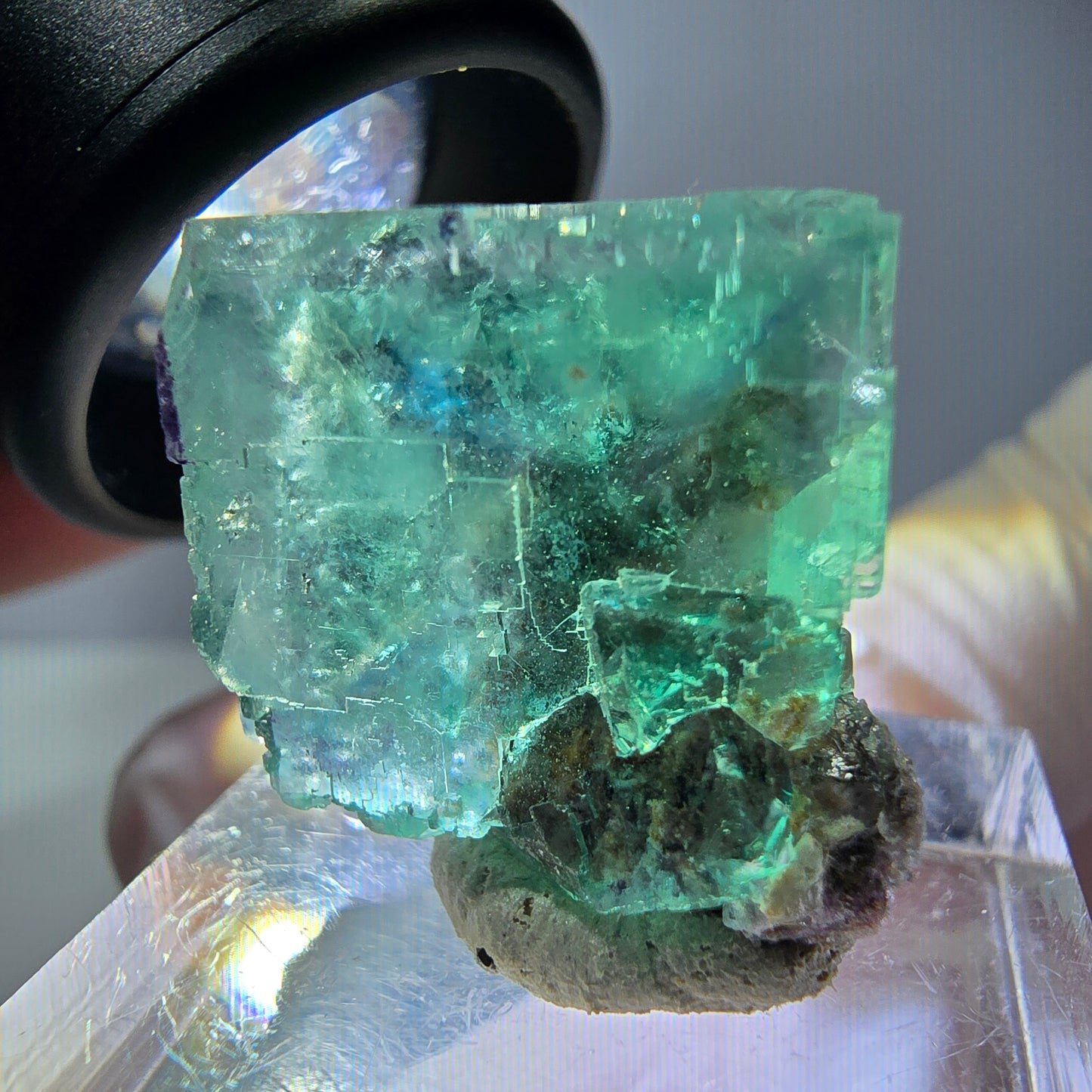 Spécimen de cube de fluorite fantôme, vert parqueté Okorusu, Namibie 21*20*15 mm