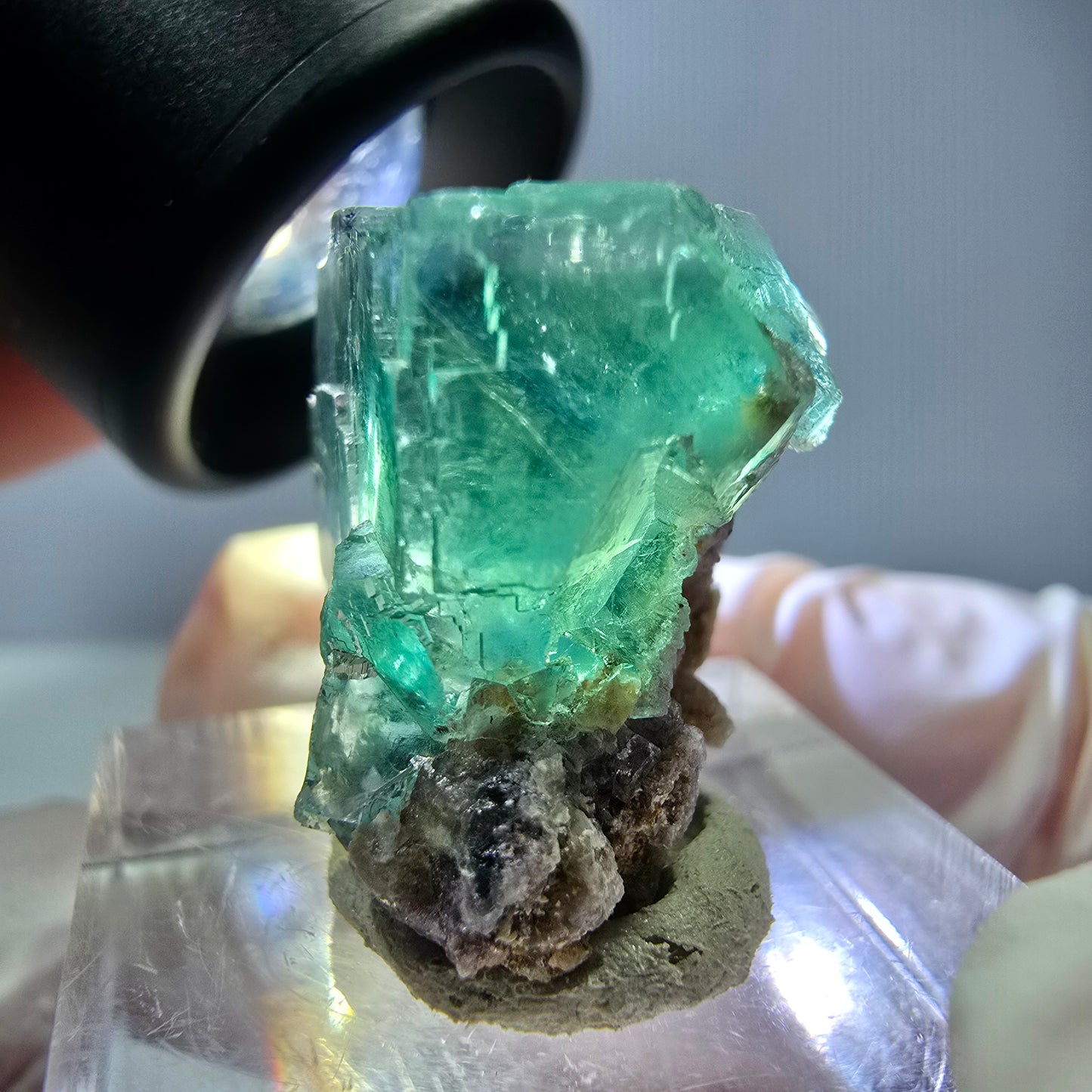 Spécimen de cube de fluorite fantôme, vert parqueté Okorusu, Namibie 21*20*15 mm