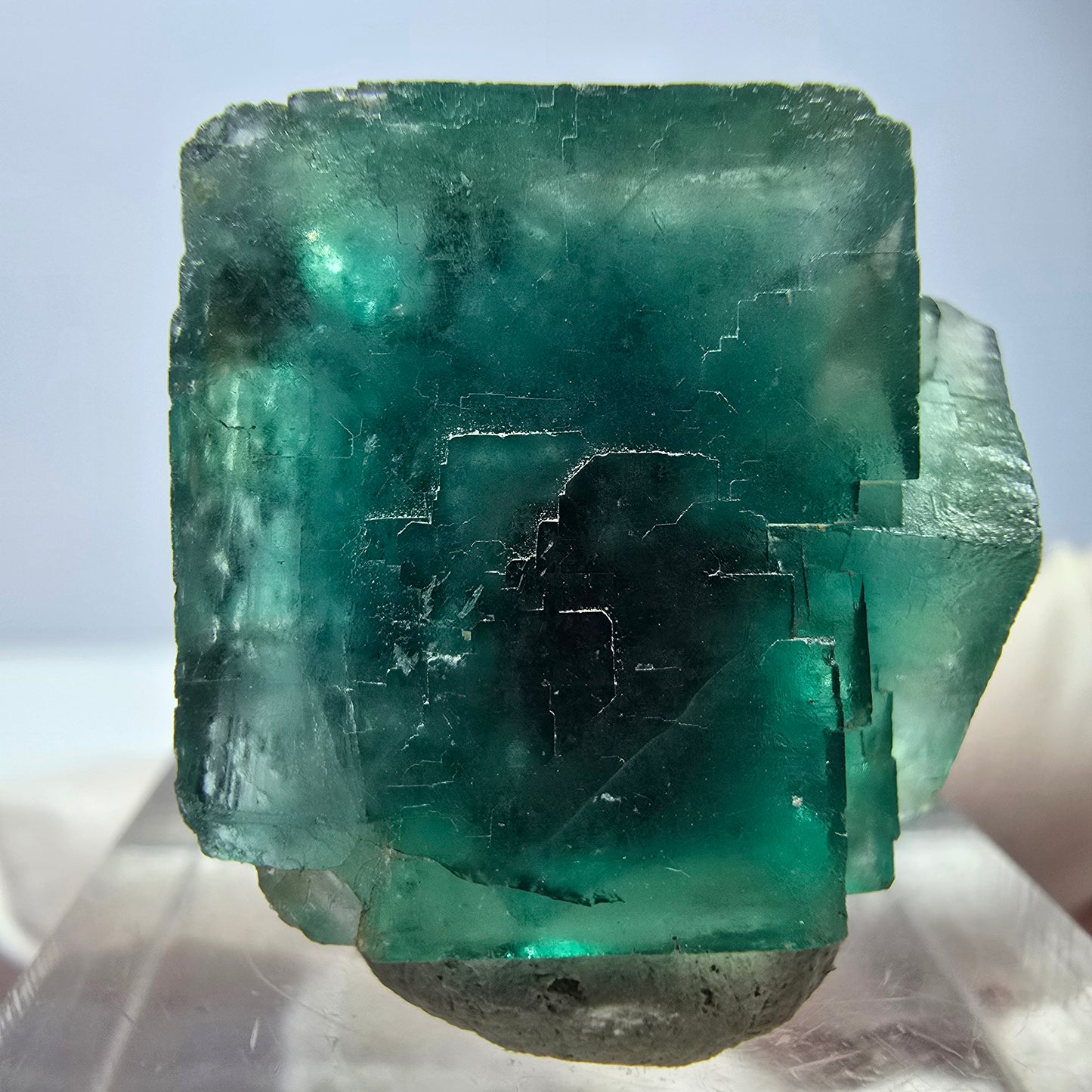 Spécimen de cube de fluorite fantôme, vert parqueté Okorusu, Namibie 23*20*16 mm