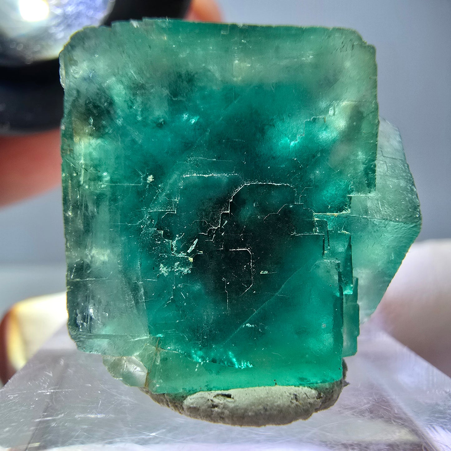 Spécimen de cube de fluorite fantôme, vert parqueté Okorusu, Namibie 23*20*16 mm