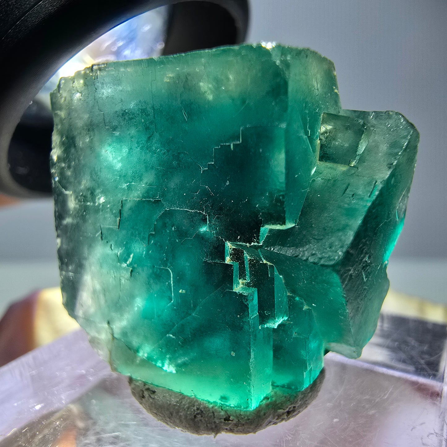 Spécimen de cube de fluorite fantôme, vert parqueté Okorusu, Namibie 23*20*16 mm