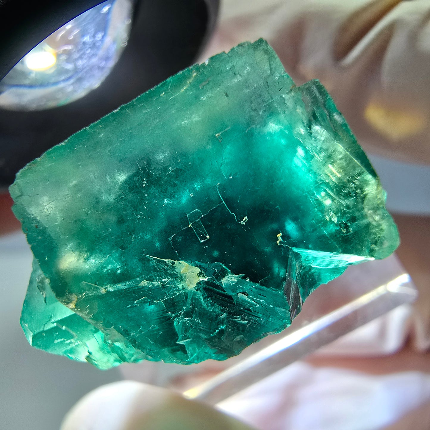Spécimen de cube de fluorite fantôme, vert parqueté Okorusu, Namibie 23*20*16 mm