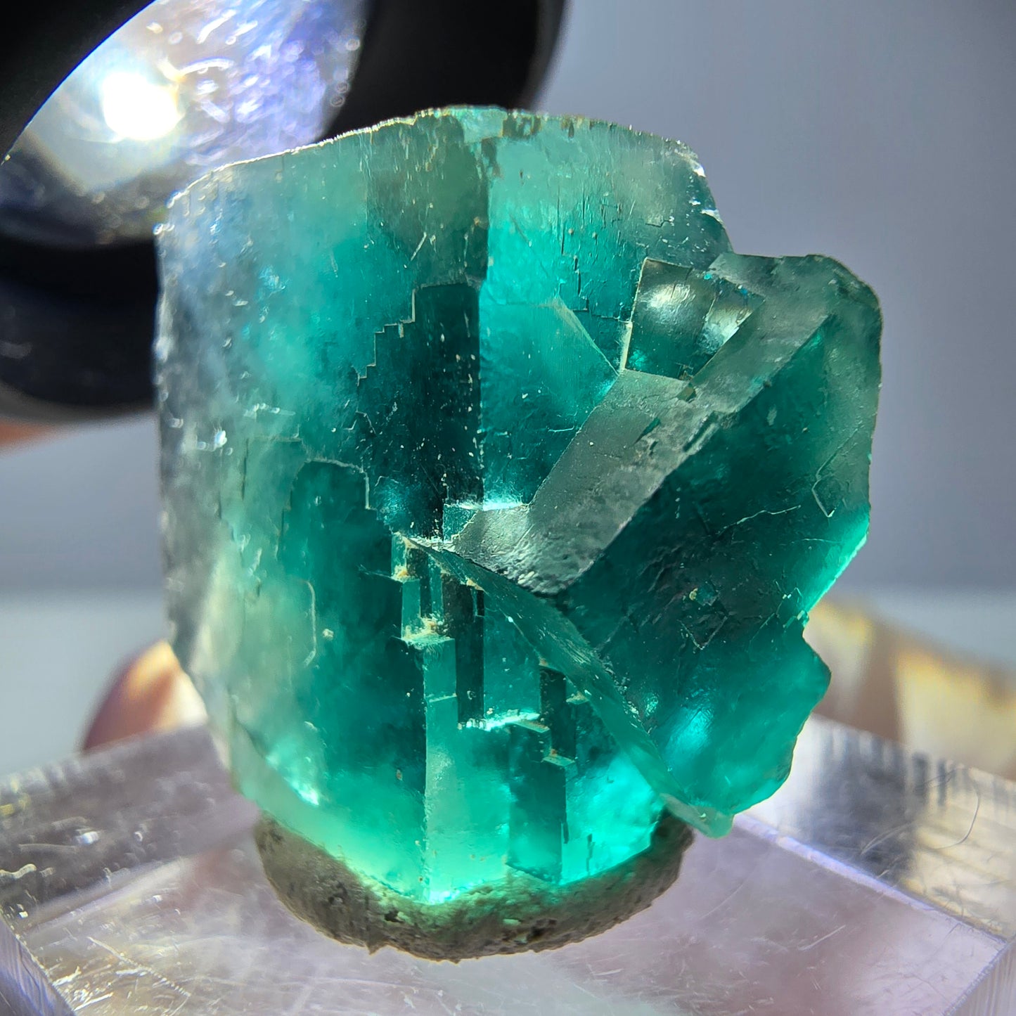Spécimen de cube de fluorite fantôme, vert parqueté Okorusu, Namibie 23*20*16 mm
